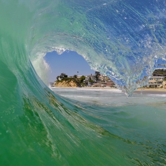 Meet your Posher, Tayler - Picture 1 of 1